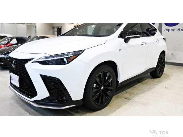 2023 Lexus NX