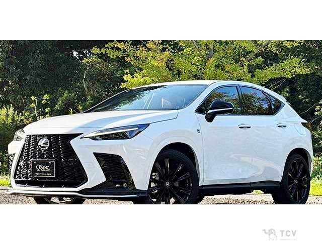 2023 Lexus NX