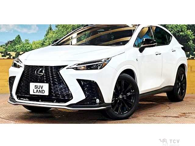2023 Lexus NX