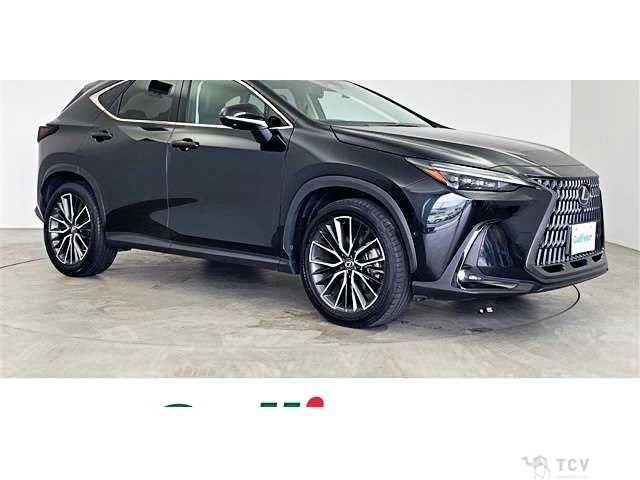 2023 Lexus NX