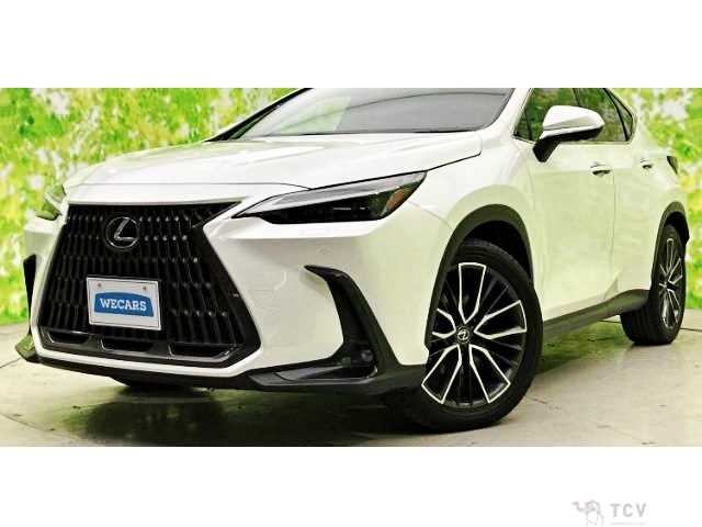 2023 Lexus NX