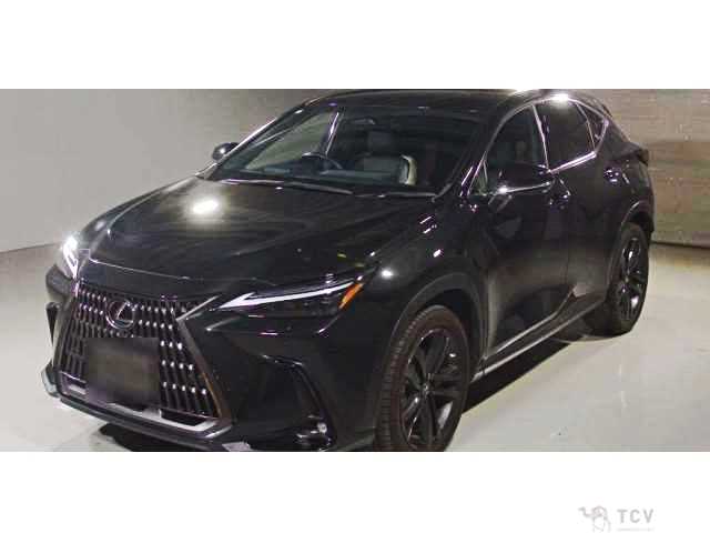 2023 Lexus NX