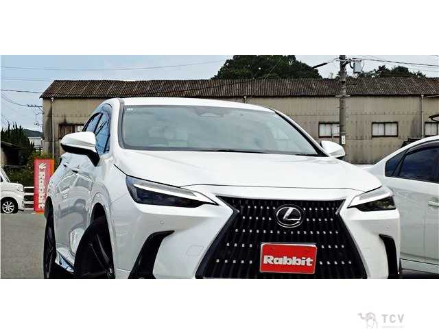 2023 Lexus NX