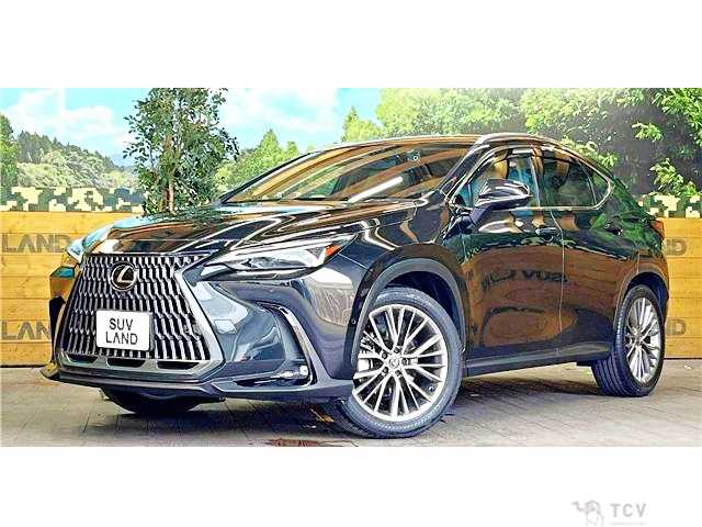 2023 Lexus NX