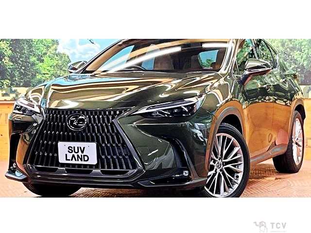 2023 Lexus NX