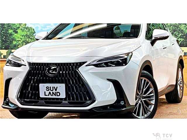 2023 Lexus NX