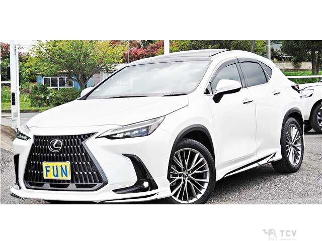 2023 Lexus NX