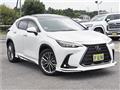 2023 Lexus NX