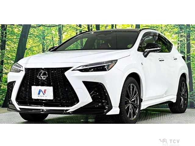 2023 Lexus NX