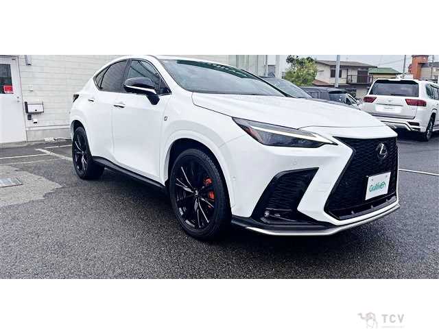 2023 Lexus NX