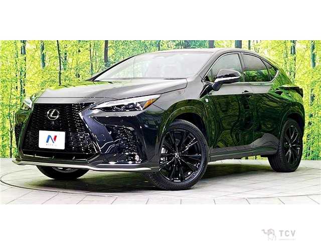 2023 Lexus NX