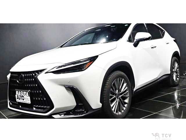 2023 Lexus NX
