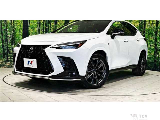 2023 Lexus NX