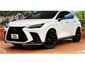 2023 Lexus NX
