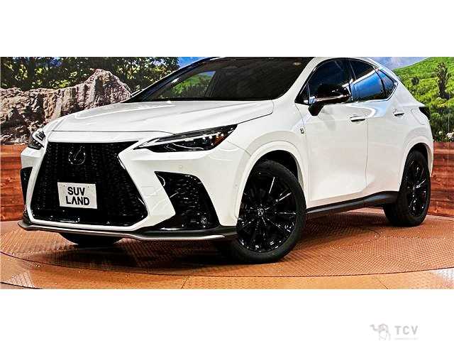 2023 Lexus NX