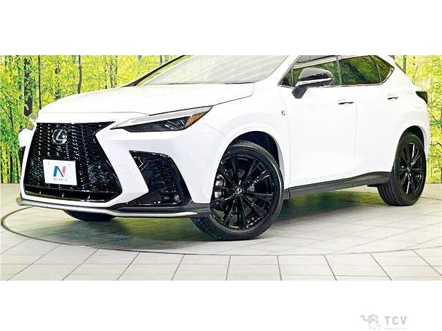 2023 Lexus NX