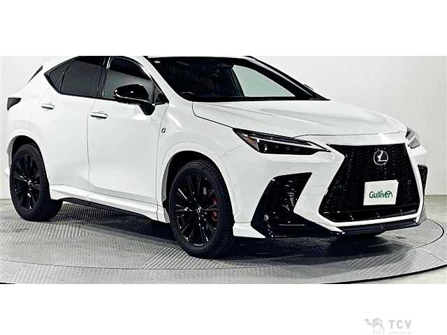 2023 Lexus NX