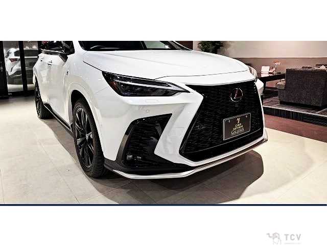 2023 Lexus NX