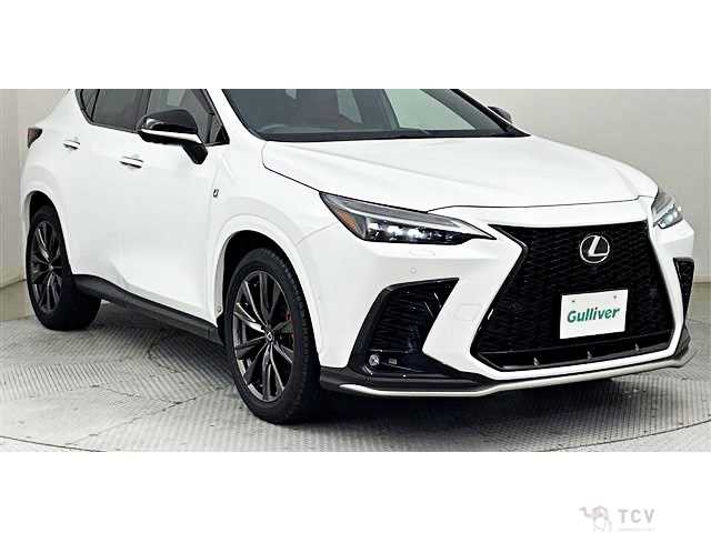 2023 Lexus NX