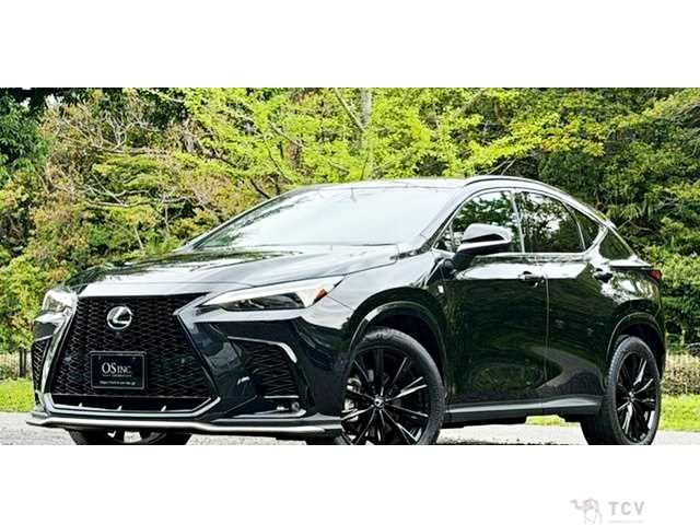 2023 Lexus NX