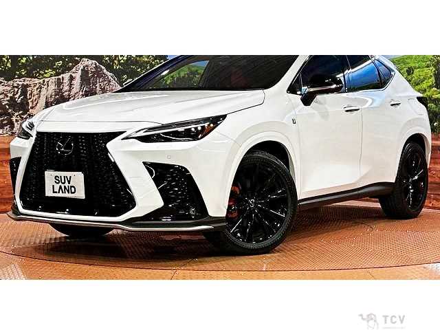 2023 Lexus NX