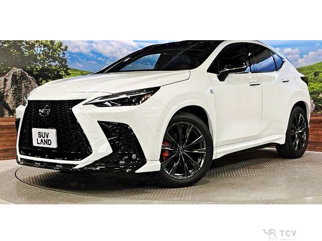 2023 Lexus NX