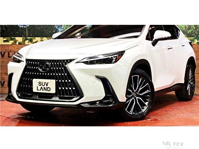 2023 Lexus NX