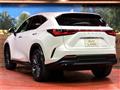 2023 Lexus NX
