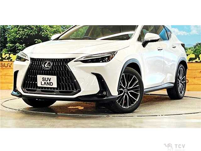 2023 Lexus NX