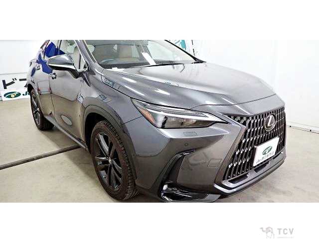 2023 Lexus NX