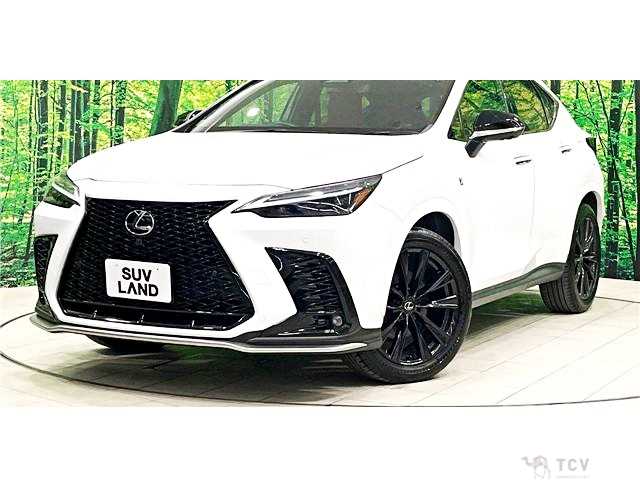 2023 Lexus NX