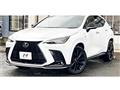 2023 Lexus NX