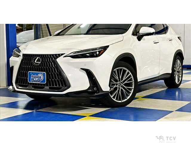 2023 Lexus NX