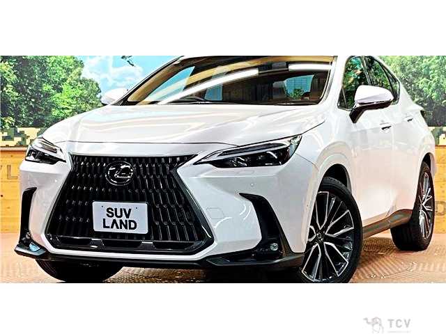 2023 Lexus NX