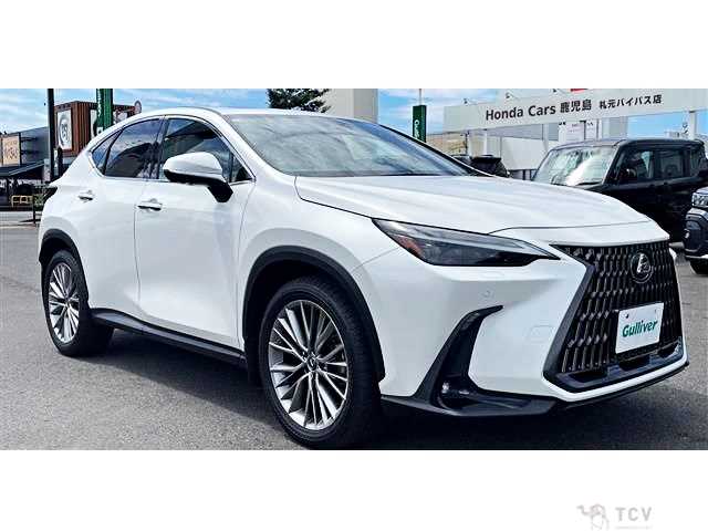 2023 Lexus NX