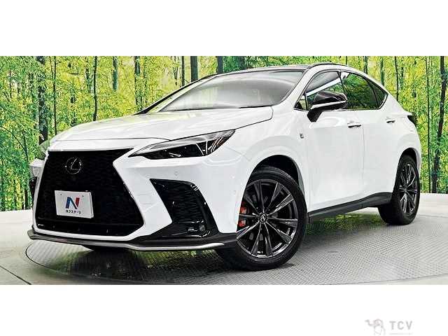2023 Lexus NX
