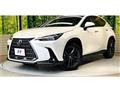 2023 Lexus NX