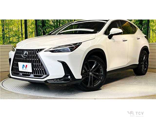 2023 Lexus NX