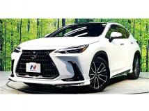 2023 Lexus NX