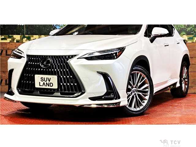 2023 Lexus NX