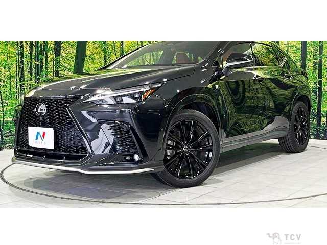 2023 Lexus NX