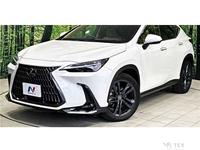 2023 Lexus NX