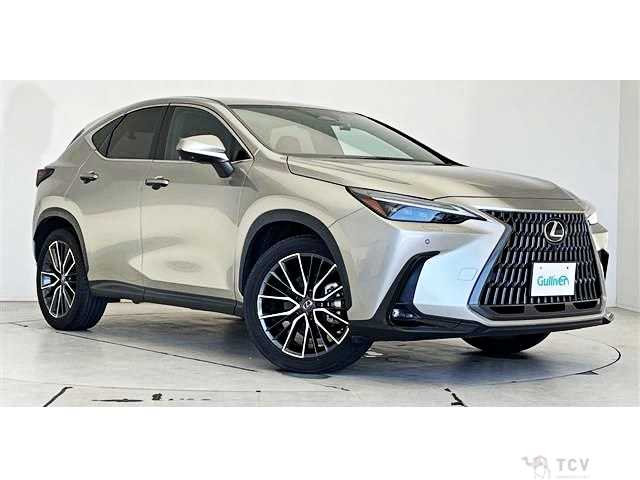 2023 Lexus NX