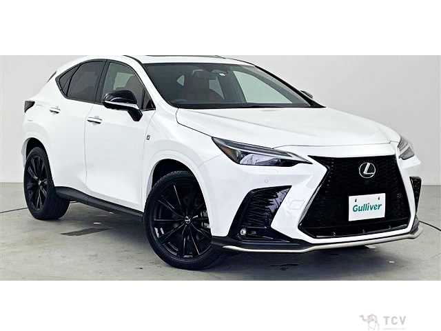 2023 Lexus NX