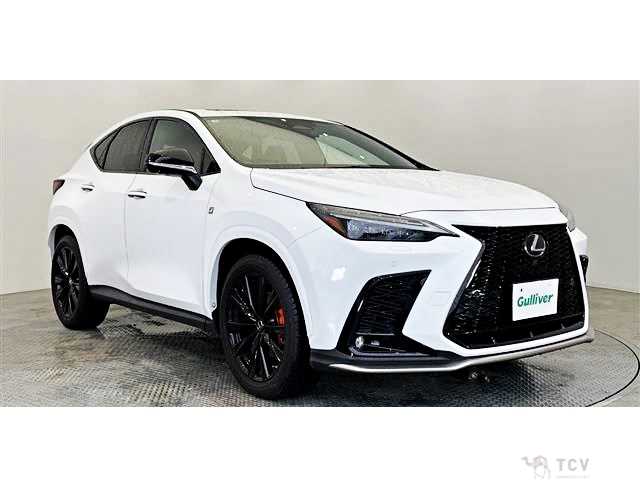 2023 Lexus NX