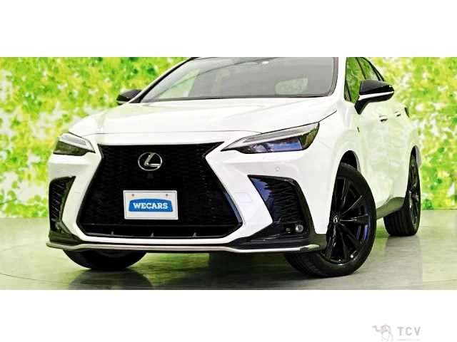 2023 Lexus NX