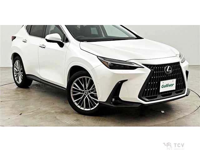 2023 Lexus NX