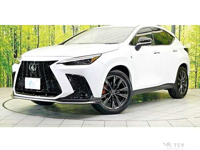 2023 Lexus NX