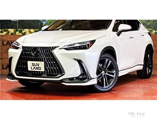 2023 Lexus NX