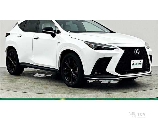 2023 Lexus NX